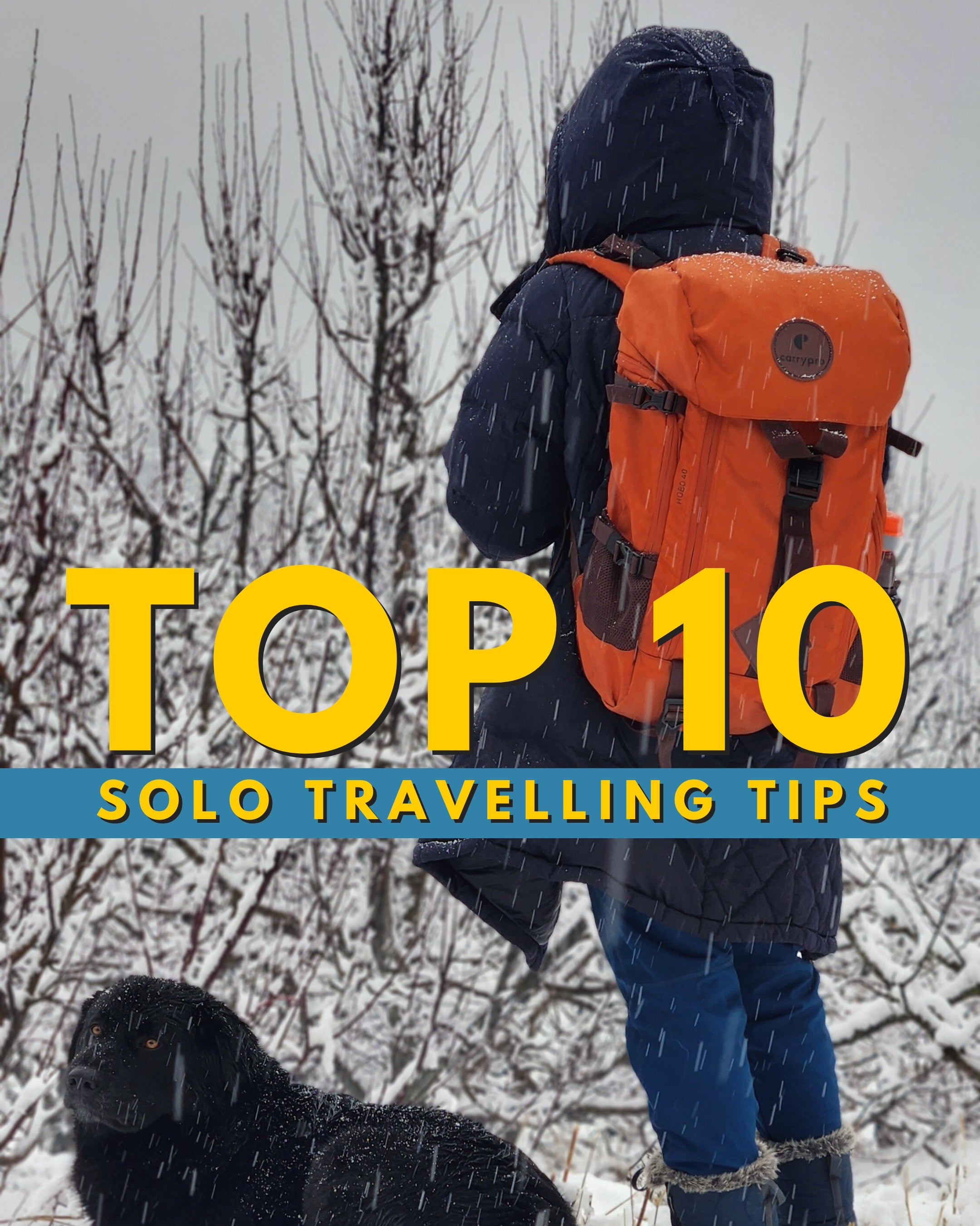 hobo40 , rust orange, hobo40 travel rucksack, carrypro hobo40 , carrypro, rucksack for men, travel rucksack