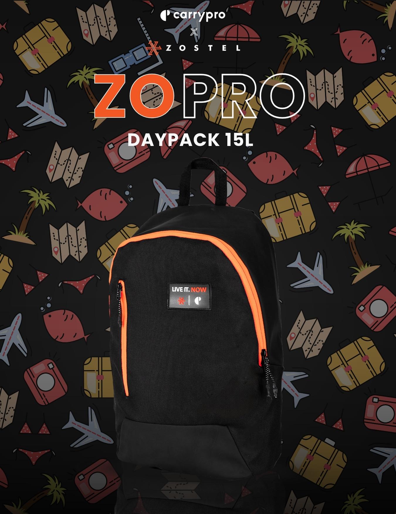 DayPacker 15L bags