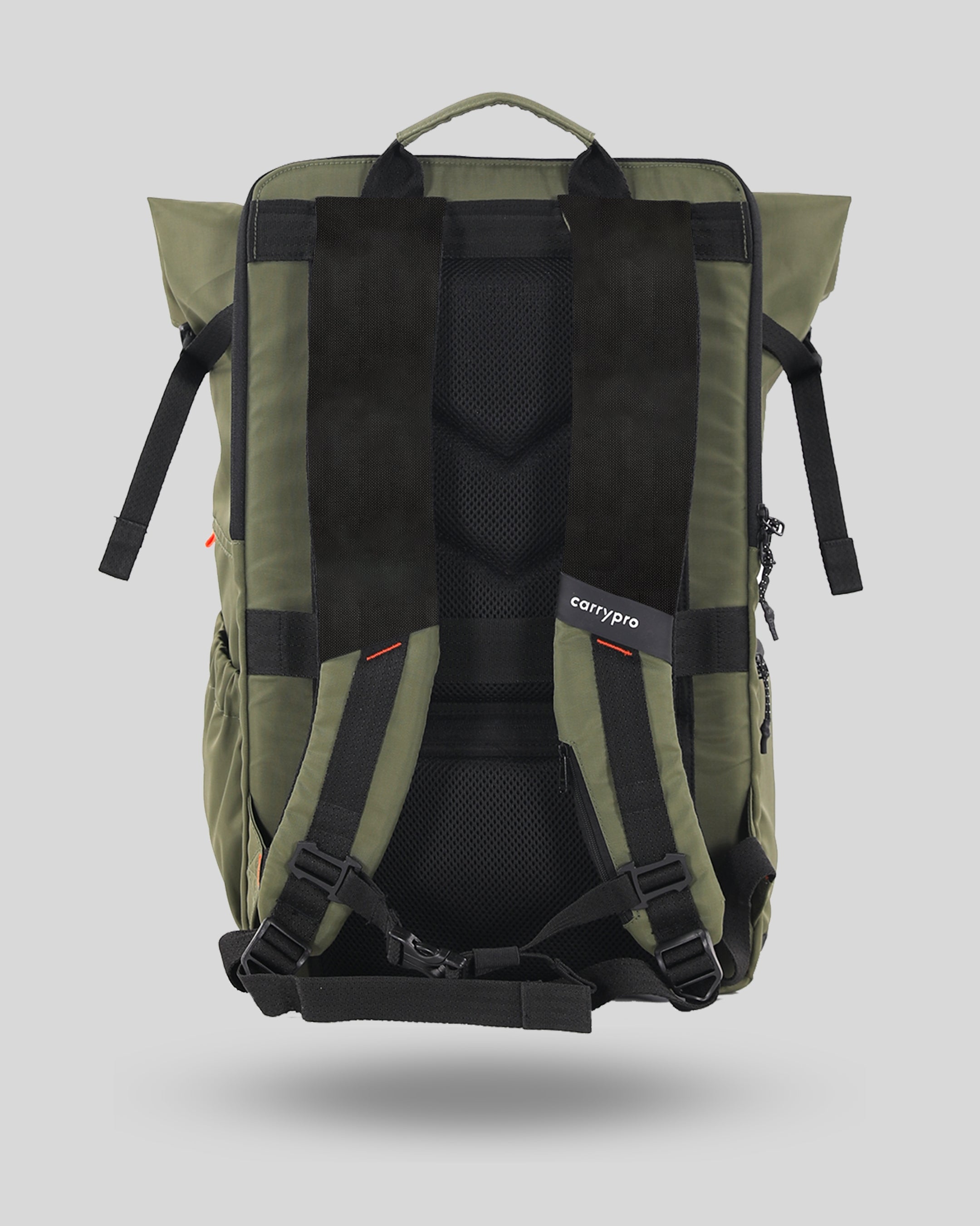#color_olive green
