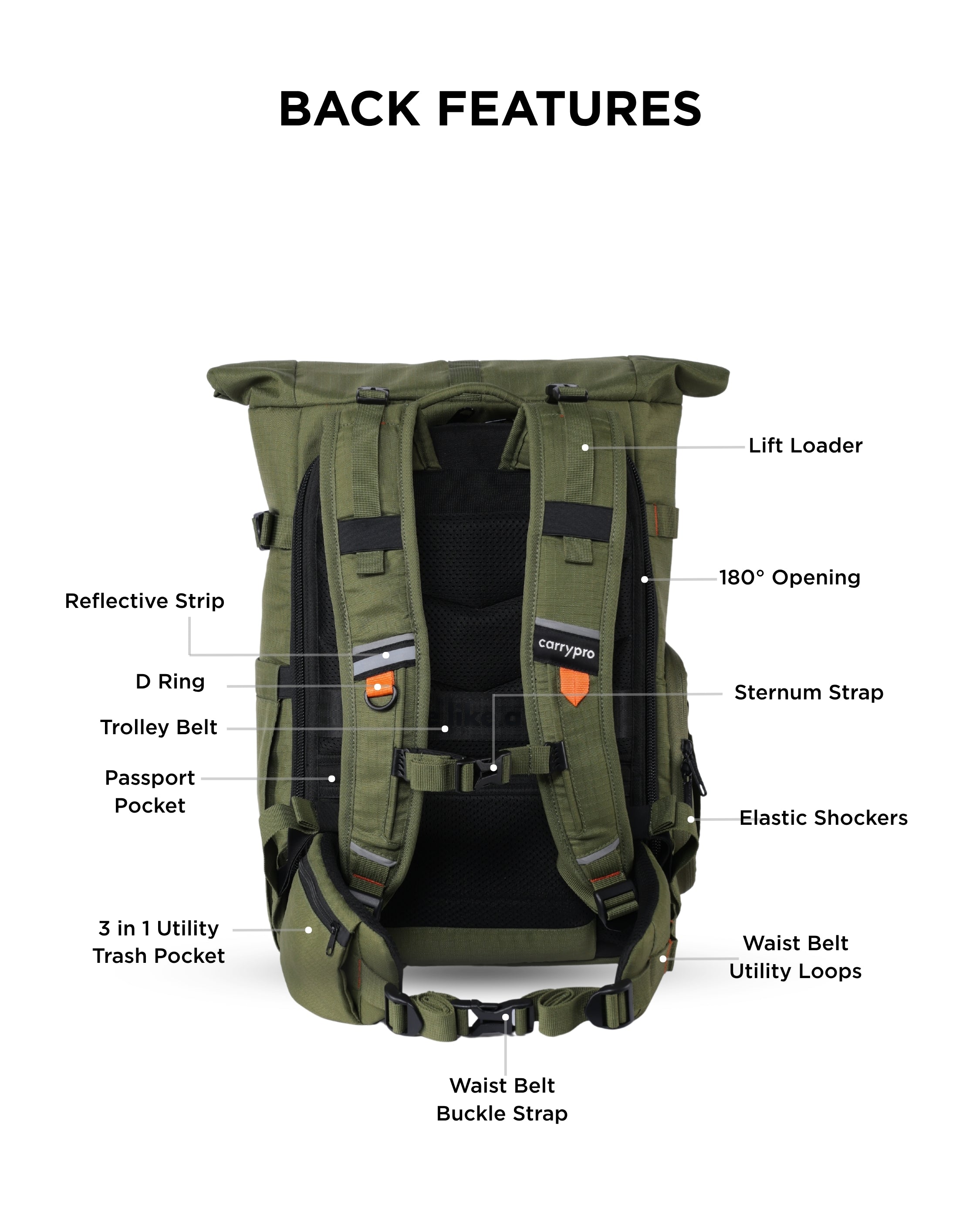 #color_Olive Green