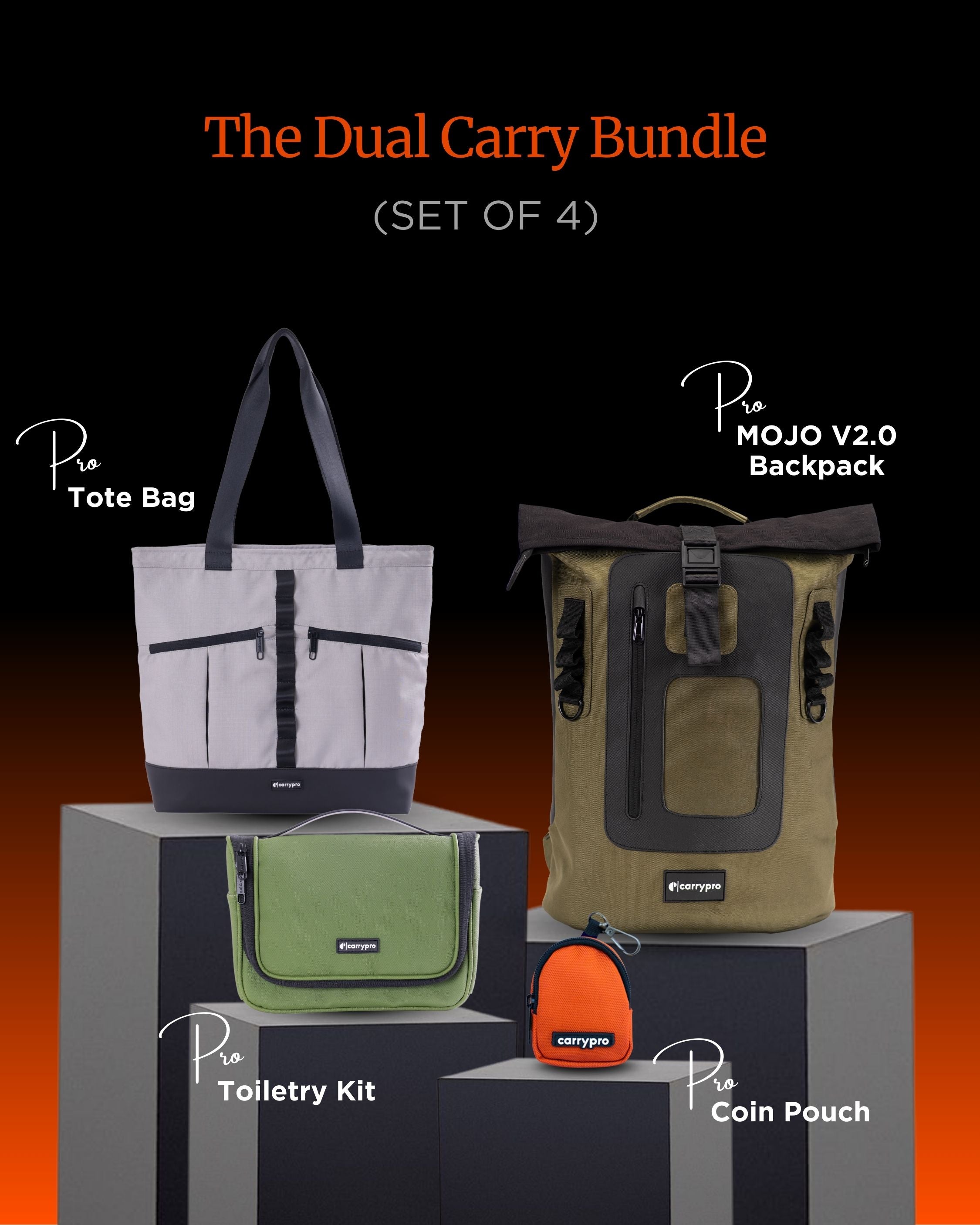 The Dual Carry Bundle