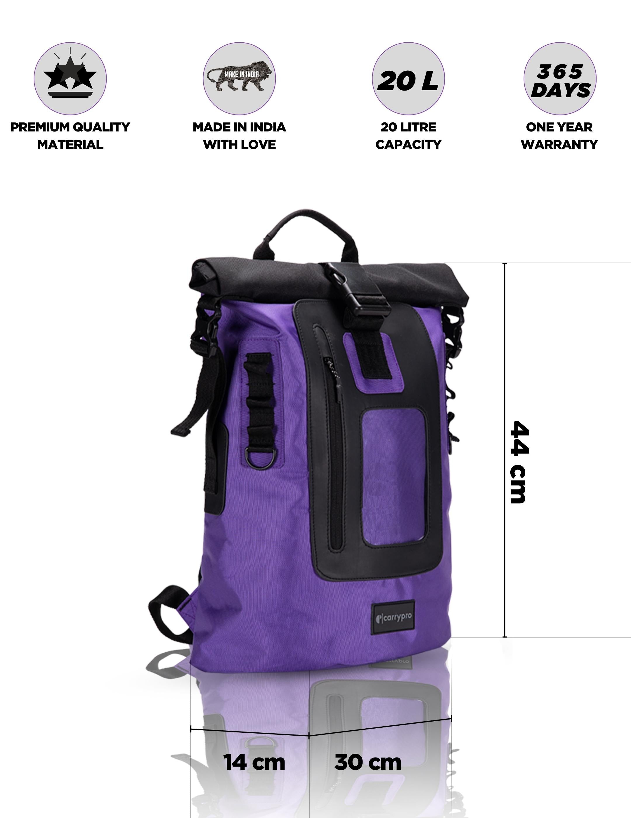 #color_purple